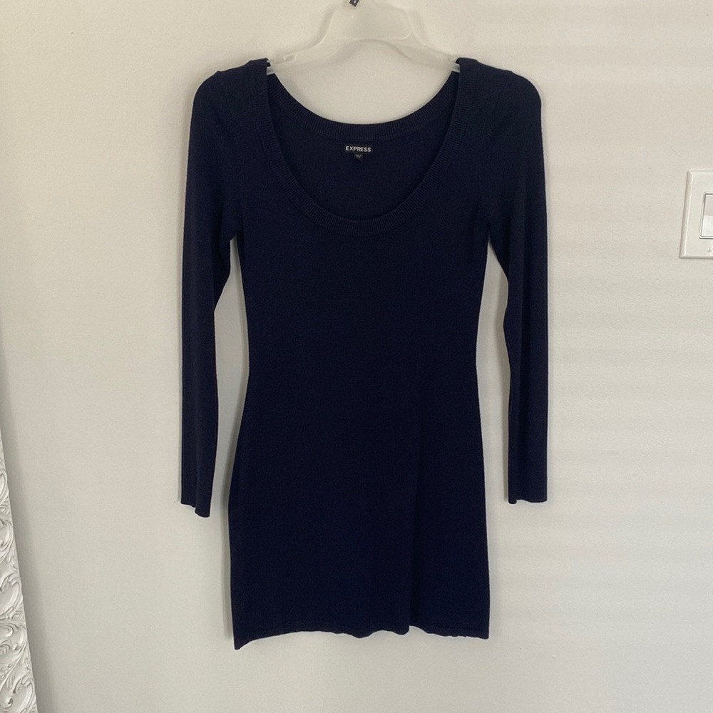 Long sleeve sweater dress. Color is eggplant purple. Express size S
